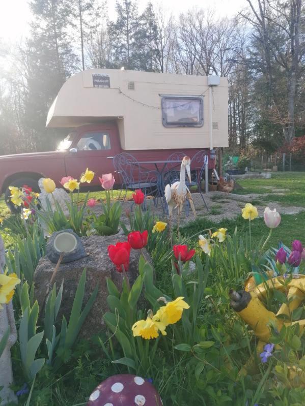 Le Pick Up 403 Vintage Hotel Oradour-sur-Glane Eksteriør billede